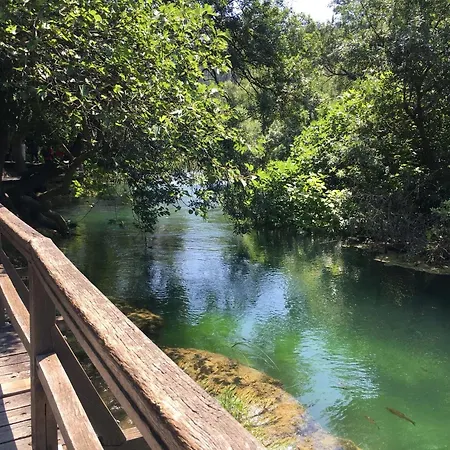 Gaestezimmer Hortensie Apartament